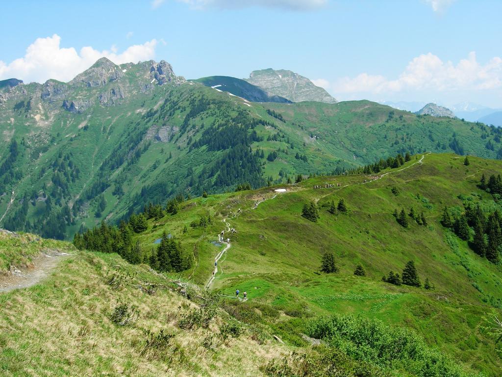 Landhotel Steindlwirt Dorfgastein Dış mekan fotoğraf